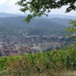 Vue de Guebwiller depuis les vignobles