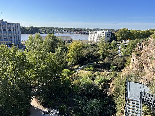 Expérience immersive nature et créativité