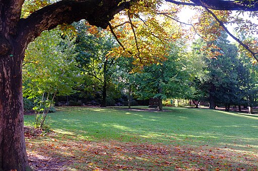 Vacances d'automne à Lyon