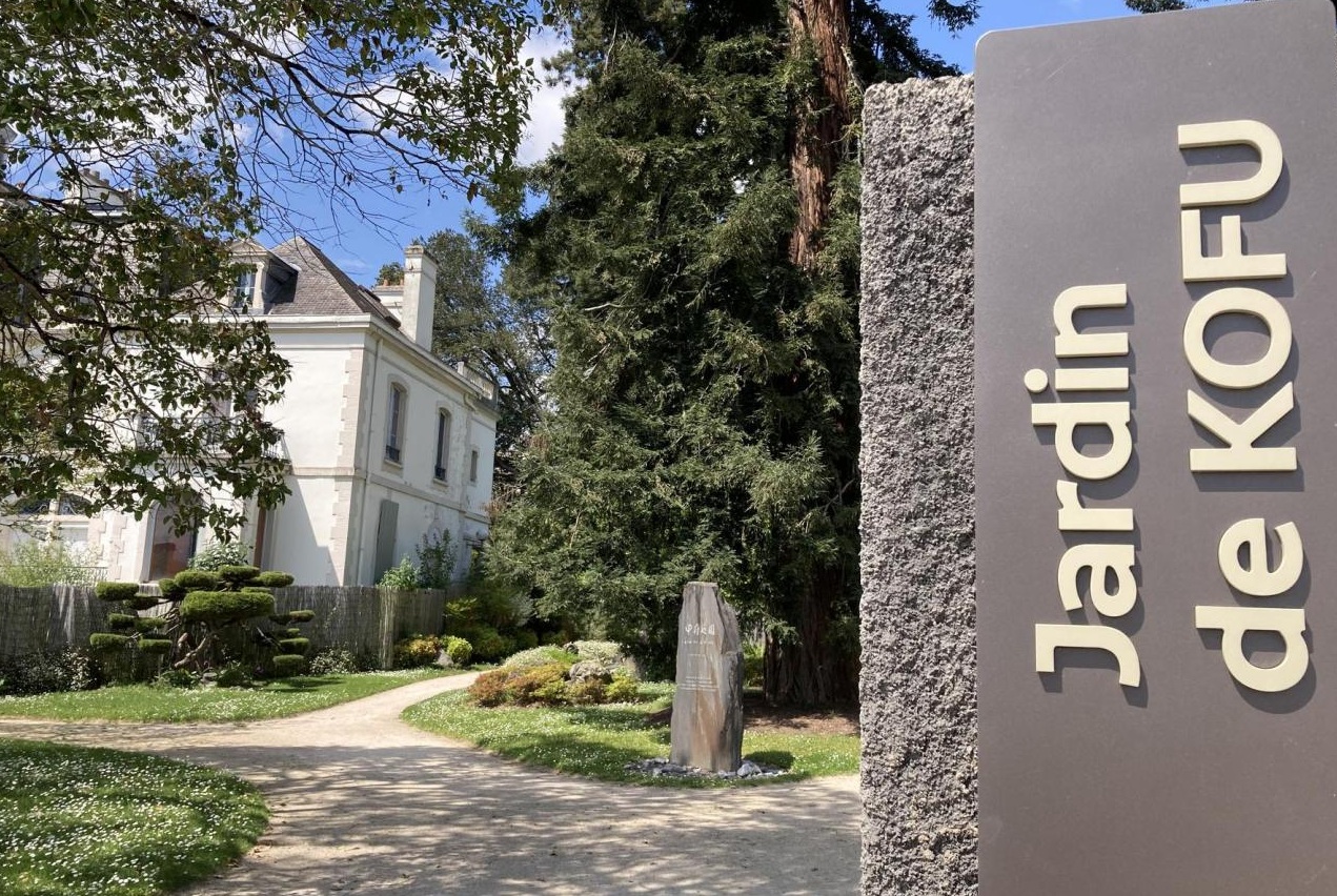 Animations variées immersion dans culture nippone