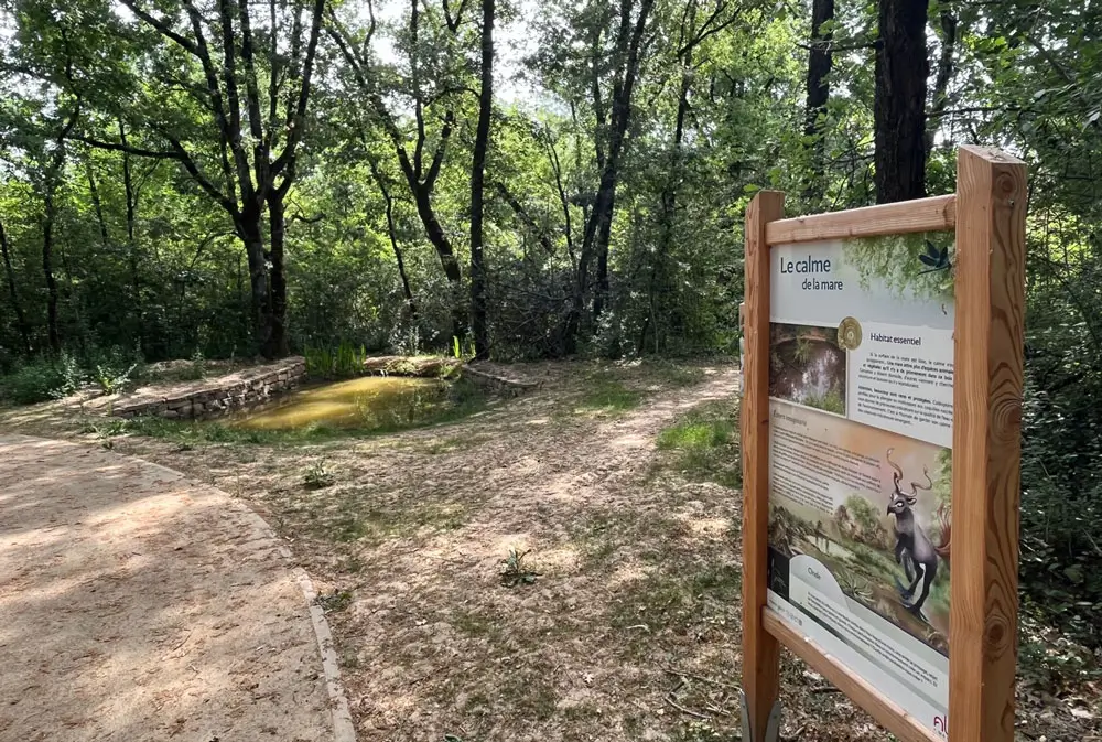 Voici des expressions-clé pertinentes pour des attributs alt d'images :