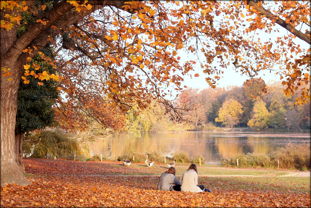 crèche de plein-air associative Lyon