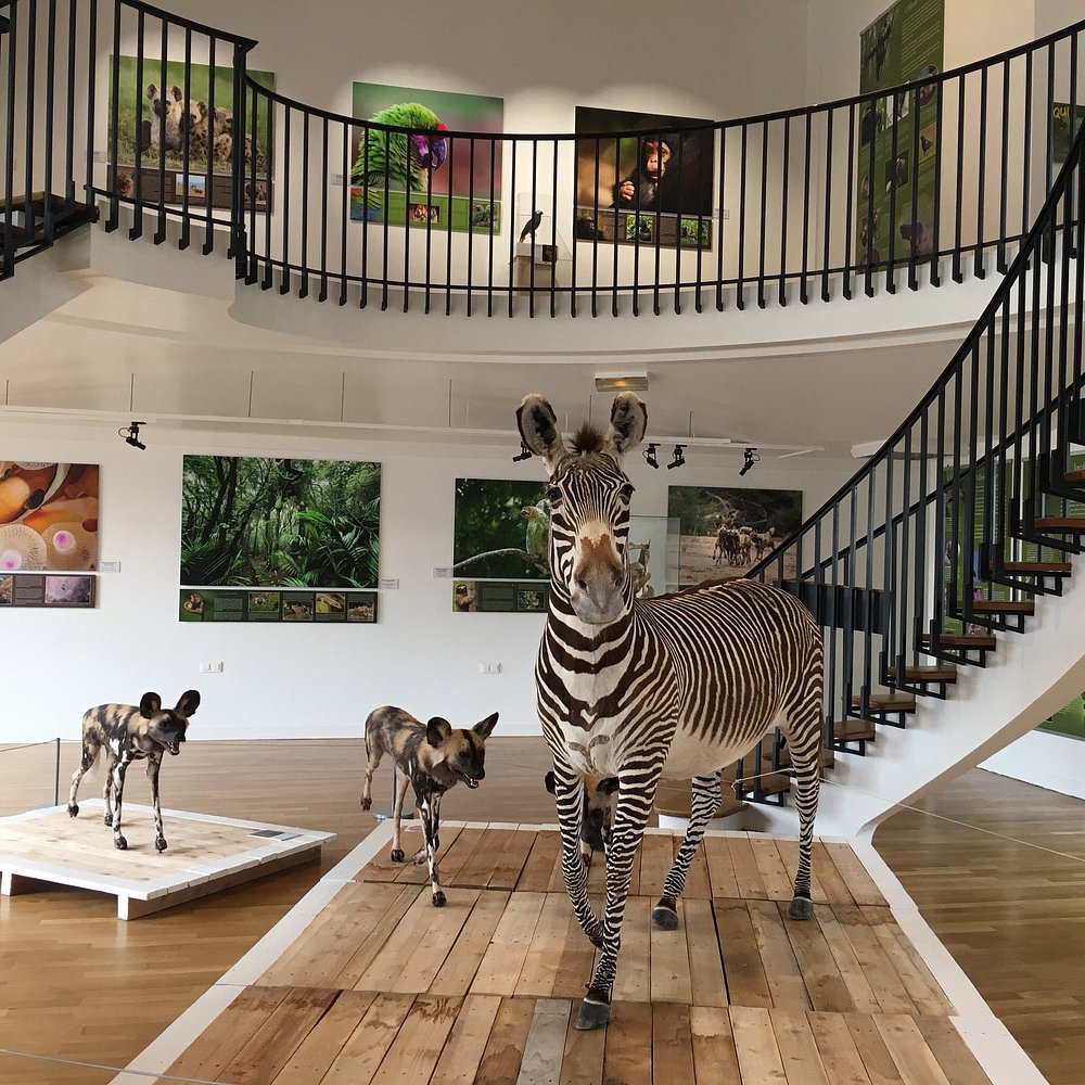 Voici des expressions-clé optimisées pour les attributs alt d'images, en lien avec le contenu :