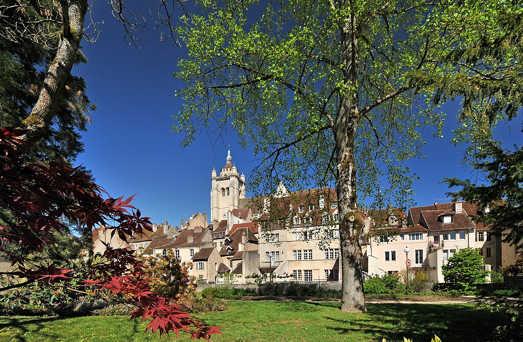 Voici des expressions-clés pertinentes pour les attributs alt d'images :