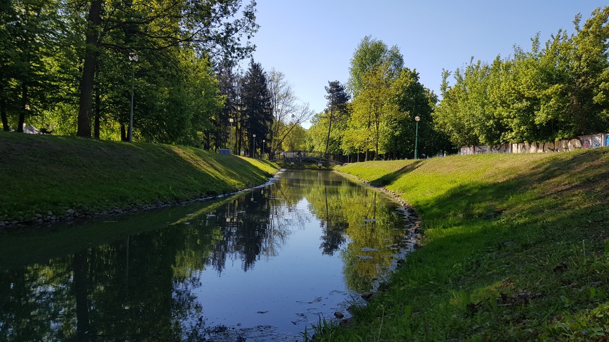 replantation arbres brest après tempête Ciaran