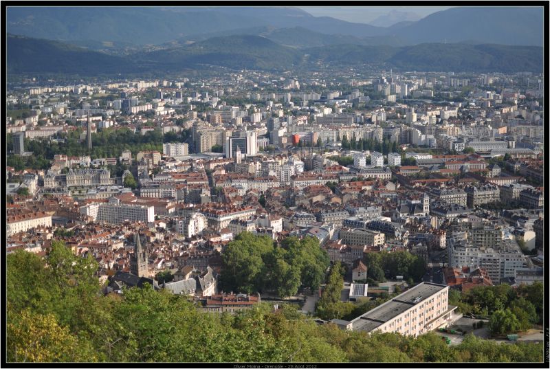 fosses végétalisées gestion eaux pluviales