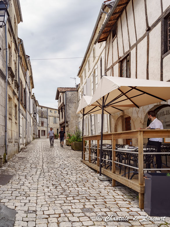 secteurs concernés trappage chats errants à Cognac